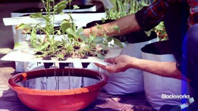 متصدرون في سولانا: يوم العروض التوضيحية في Token2049 سنغافورة