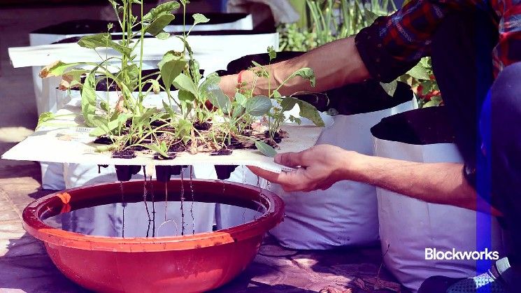 متصدرون في سولانا: يوم العروض التوضيحية في Token2049 سنغافورة