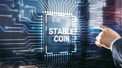 مؤسس "Sentinel Global" يحذر: العملات المستقرة تعكس مخاطر العملات الرقمية للبنوك المركزية