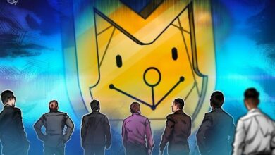 ارتفاع أحجام التداول في البورصات اللامركزية مدفوعاً بموجة التداول على عملات الميم: تقرير CoinGecko