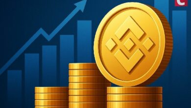 احتياطي بينانس للعملات المستقرة يسجل أعلى مستوى في التاريخ: هل يشير ذلك إلى علامة إيجابية؟