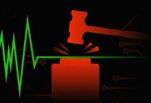 الصين تصدر أحكاماً بالإعدام على منفذي عمليات "نحر الخنازير" الاحتيالية