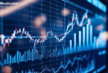 متداولو خيارات البيتكوين يتجاهلون الهبوط مع تفوق الصعود على الهبوط عبر الأسواق