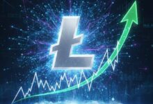 تحديث سوق اللايتكوين: تعافي السعر مدفوعًا بارتفاع النشاط على الشبكة