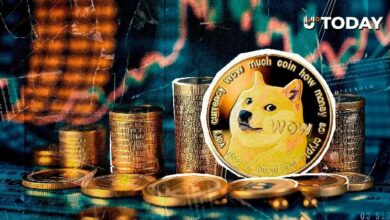 دوجكوين يسجل قفزة مذهلة في حجم التداول تتجاوز ٩٦١٦٪: تعرف على السبب