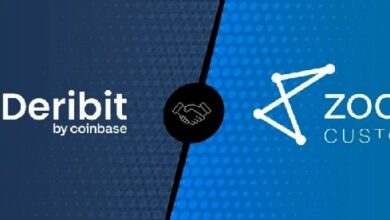 ديريبت وزديا كاستودي تطلقان تسوية آلية بالكامل