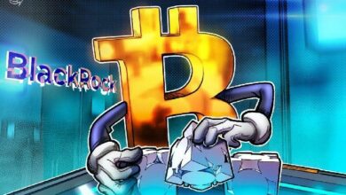 عملاء بلاكروك للبيتكوين لا يروجون لاستخدامها في المدفوعات العالمية