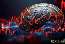 نمو محافظ البيتكوين يشير إلى تحوّل نحو المُلاك الكبار