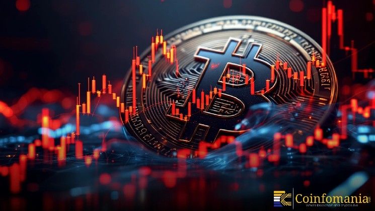 نمو محافظ البيتكوين يشير إلى تحوّل نحو المُلاك الكبار