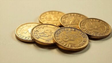 أفضل 5 عملات ميمي انخفضت سريعًا: هل حان وقت الشراء؟