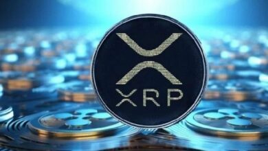 محلل الأسواق المخضرم بيتر براندت يطلق تصريحاً مذهلاً مع تدفق مستثمري بينانس على XRP