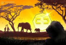 البنك المركزي الجنوب أفريقي: لا حاجة ملحة لإصدار عملة رقمية