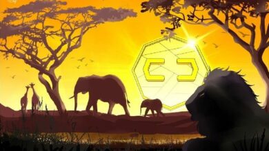 البنك المركزي الجنوب أفريقي: لا حاجة ملحة لإصدار عملة رقمية