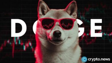 سعر الدوجكوين يخترق مستويات دعم متعددة: لماذا أصبح الوصول لقاع سنوي جديد وشيكًا؟