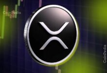 بعد إطلاق صندوق XRPC ETF.. رئيس كاناري: XRP ليس مثل البيتكوين أو الإيثيريوم