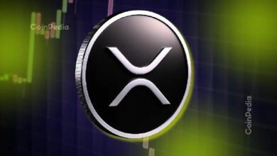 بعد إطلاق صندوق XRPC ETF.. رئيس كاناري: XRP ليس مثل البيتكوين أو الإيثيريوم