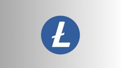 محلل يكشف كيف يمكن لـ Litecoin تحويل 3700 دولار إلى مليون دولار للمستثمرين