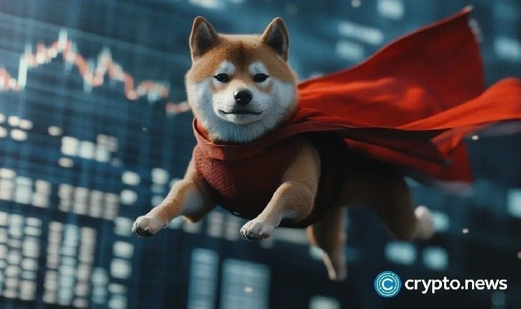 سعر Shiba Inu يدعم أدنى مستوياته السنوية مع إشارة شمعة الابتلاع إلى تحول هيكلي