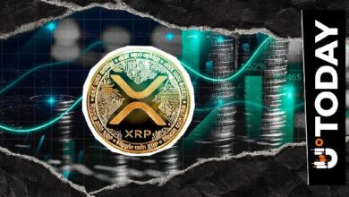 أرباح XRP تقفز 240% مع تسارع عمليات جني الأرباح