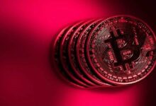 بيانات نوفمبر للبتكوين هذا العام غير معتادة.. مقارنة مع الأعوام الماضية