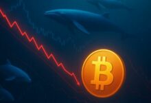 الحيتان الصغيرة تتخلى عن البيتكوين بينما يحتفظ القدامى بهدوء