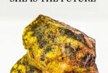 "يورانيوم.آي أو تفوز بجائزة أفضل منتج جديد في حفل Benzinga العالمي للفنتك لتوطين اليورانيوم U3O8 على بلوكشين تيزوس"