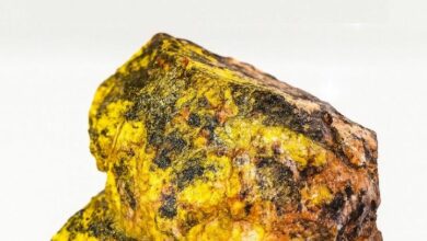 "يورانيوم.آي أو تفوز بجائزة أفضل منتج جديد في حفل Benzinga العالمي للفنتك لتوطين اليورانيوم U3O8 على بلوكشين تيزوس"