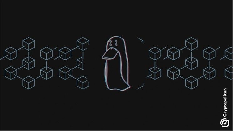 محقق في القرصنة يحدد أسوأ الدول لضحايا العملات الرقمية: نيجيريا والهند وكندا وبريطانيا وروسيا