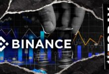 إطلاق جديد من Binance: إدراج زوجي USDC ضمن تحديث 11/11