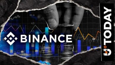 إطلاق جديد من Binance: إدراج زوجي USDC ضمن تحديث 11/11