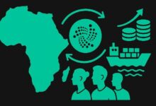 دومينيك شينر يُسلط الضوء على إمكانات القفزة النوعية لإفريقيا عبر IOTA ومشروع ADAPT