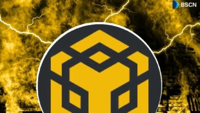 صعود البنك المركزي العماني في 2025: مقاييس العائد والتبني والأداء