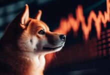 انتعاشة شيبا إنو تلوح باختراق وشيك من النموذج الهابط