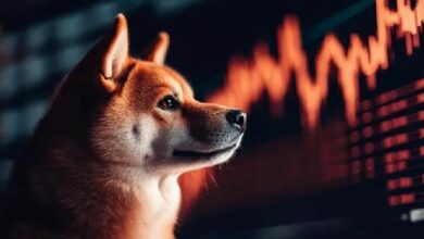 انتعاشة شيبا إنو تلوح باختراق وشيك من النموذج الهابط