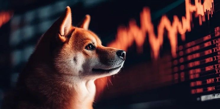 انتعاشة شيبا إنو تلوح باختراق وشيك من النموذج الهابط