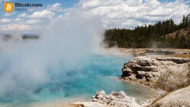 دلفي ديجيتال: شهية المؤسسات للعملات الرقمية "تبخرت" والتداولات هبطت 90%