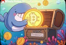 إصدار 250 مليون USDC: ماذا تعني هذه الكمية الهائلة من العملات المستقرة لأسواق العملات الرقمية؟