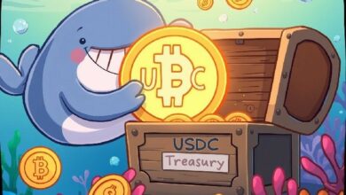 إصدار 250 مليون USDC: ماذا تعني هذه الكمية الهائلة من العملات المستقرة لأسواق العملات الرقمية؟