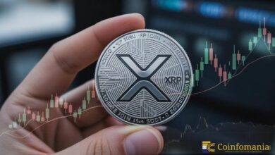 مؤيدو XRP صامدون رغم التراجع الطفيف بنسبة 1%