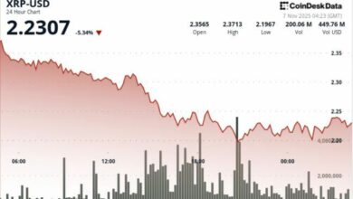 انهيار XRP يدفع الريبل نحو منطقة الدفاع عند 2.20 دولار