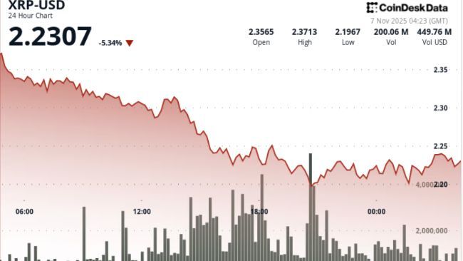 انهيار XRP يدفع الريبل نحو منطقة الدفاع عند 2.20 دولار