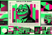 مسؤولو Bitwise يحذرون: فقط أكبر شركات الأصول الرقمية ستبقى في السوق