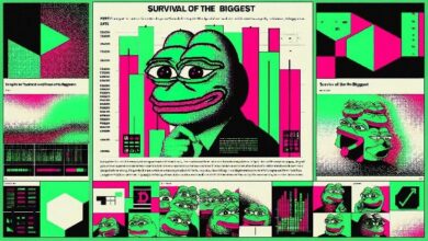 مسؤولو Bitwise يحذرون: فقط أكبر شركات الأصول الرقمية ستبقى في السوق