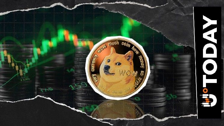 سعر الدوجكوين يستعد للانتعاش مع ارتفاع حجم التداول 43%