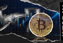 20 ألف بيتكوين تعود للتبادل في 7 أيام.. هل بدأت الحيتان جني الأرباح؟