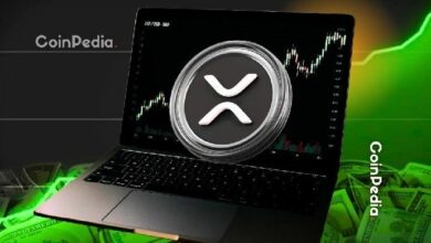توقع سعر XRP ليوم 19 نوفمبر: تحليل السوق وآخر التوقعات