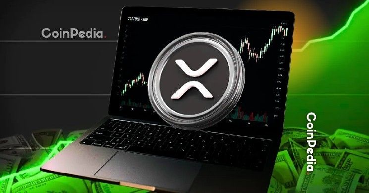 توقع سعر XRP ليوم 19 نوفمبر: تحليل السوق وآخر التوقعات