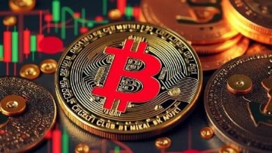 هل يدخل البيتكوين في مرحلة هبوط؟ تحليل الخبراء: "من الصعب أن يصل سعر البيتكوين إلى هذا المستوى بنهاية العام!