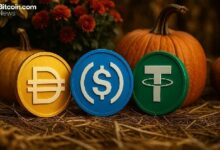 مليارات تنتقل: الرابحون والخاسرون في سوق العملات المستقرة خلال أكتوبر