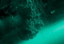 صيدلية إنفكتوس الأمريكية تتبنى مدفوعات العملات الرقمية